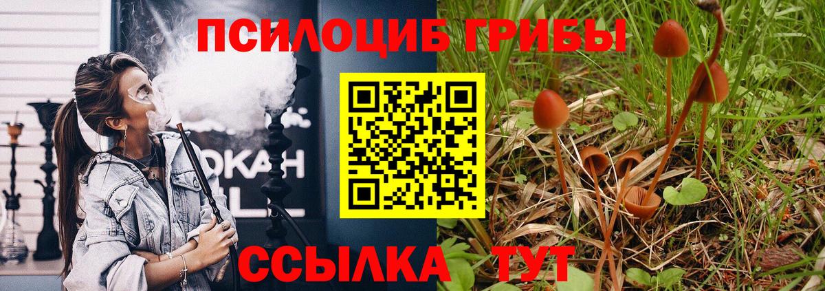 Омск  Псилоцибиновые грибы Psilocybine cubensis  Псилоцибиновые грибы ЛСД  Вход с VPN 