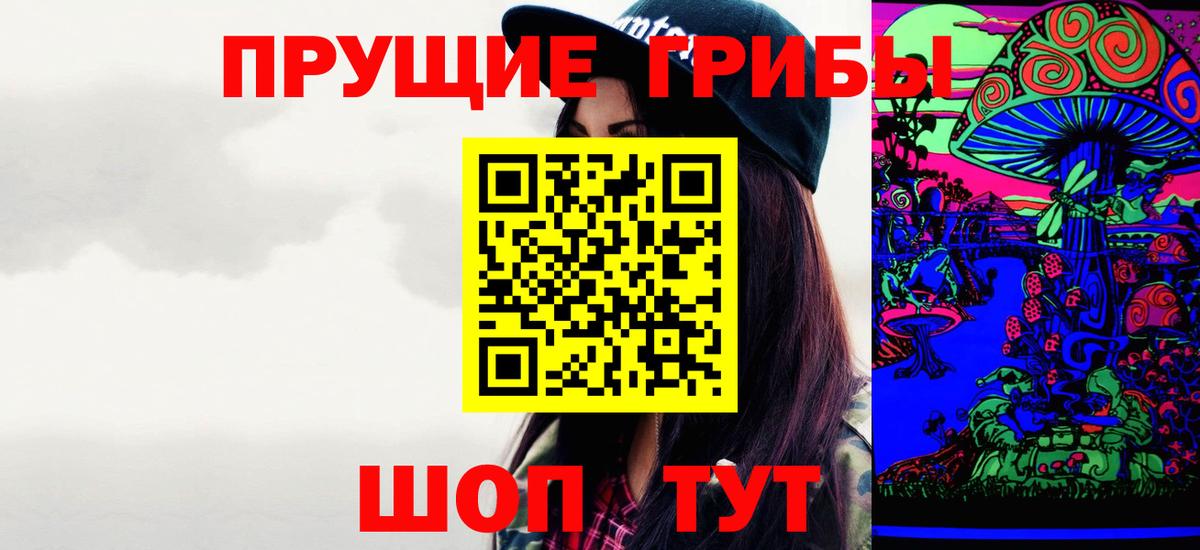Галлюциногенные грибы Psilocybine cubensis Омск
